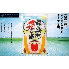 新潟元氣米